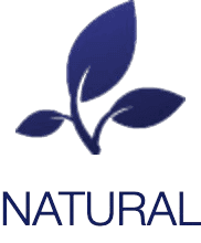 Profile Content Image 2