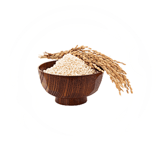 Fermented Rice Extract